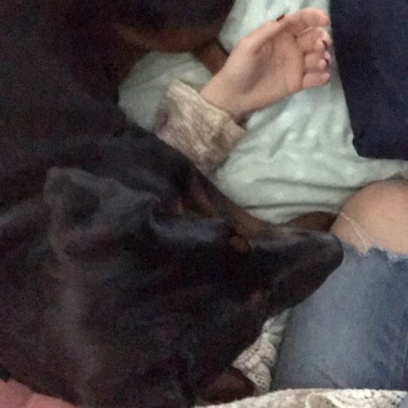 Meet your Posher, Samantha - Picture 1 of 1